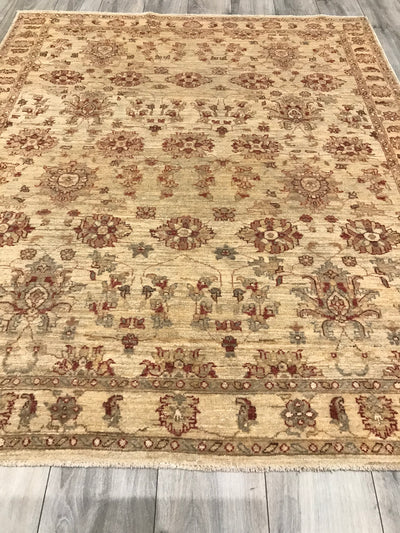 Pakistan Chobi Hand Knotted Wool 5x7