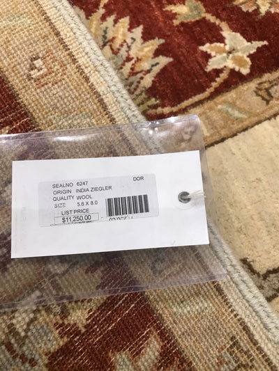 Pakistan Ziegler Hand Knotted Wool 5x8