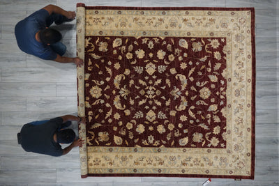 Pakistan Chobi Hand Knotted Wool 8x10