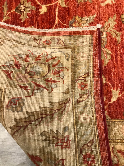 Pakistan Chobi Hand Knotted Wool 5x6