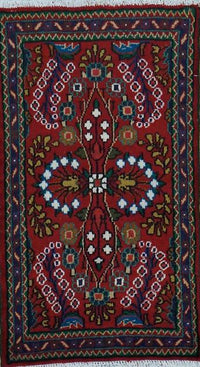 Persian Hamedan Hand Knotted Wool  Rug 2x3